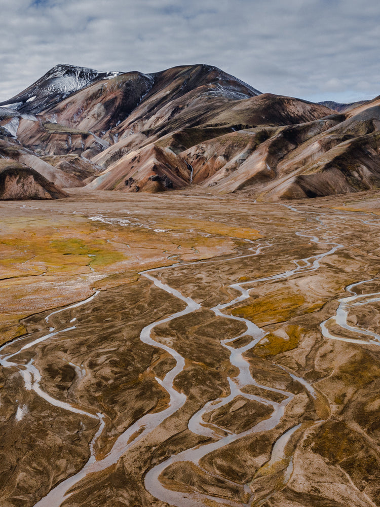 Nature that inspires PRMAL designs