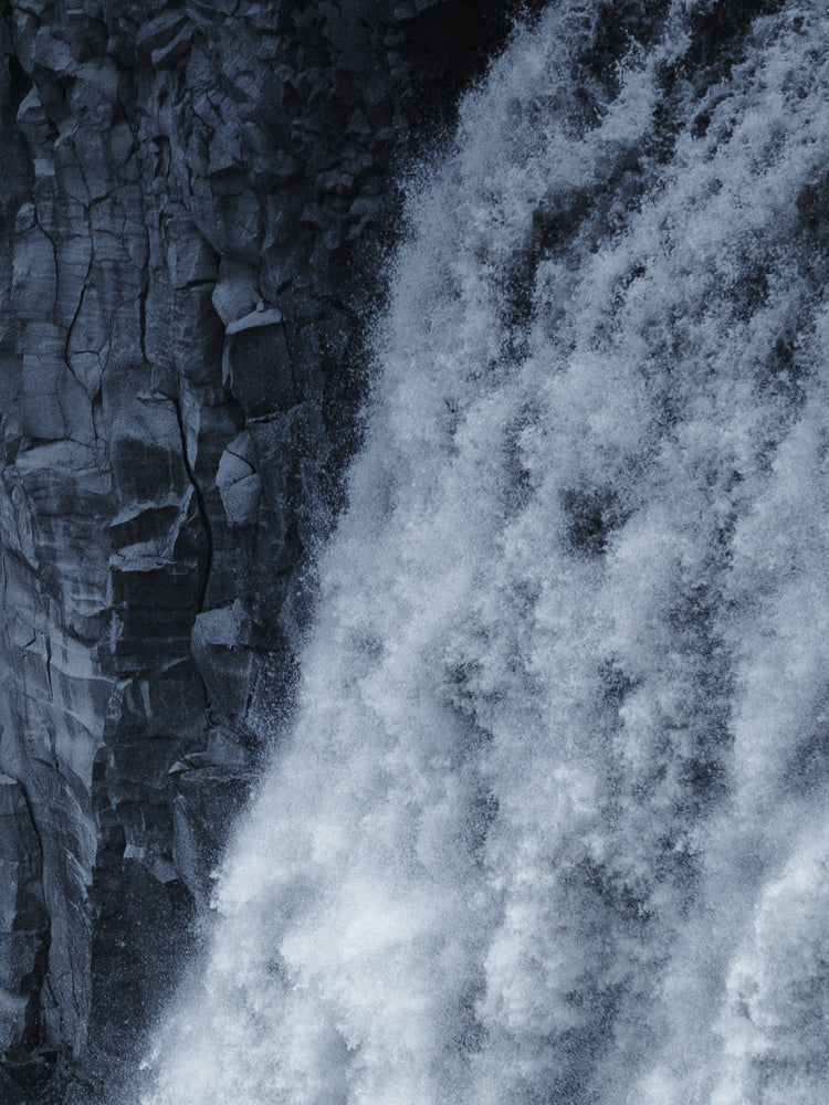 Nature that inspires PRMAL designs