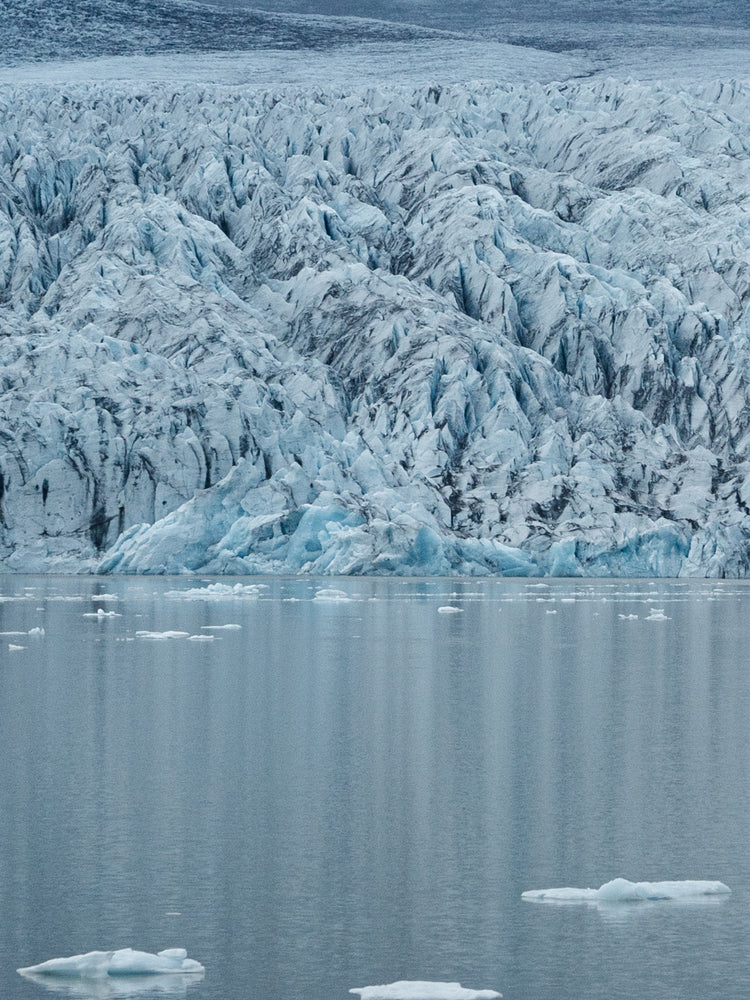 Nature that inspires PRMAL designs