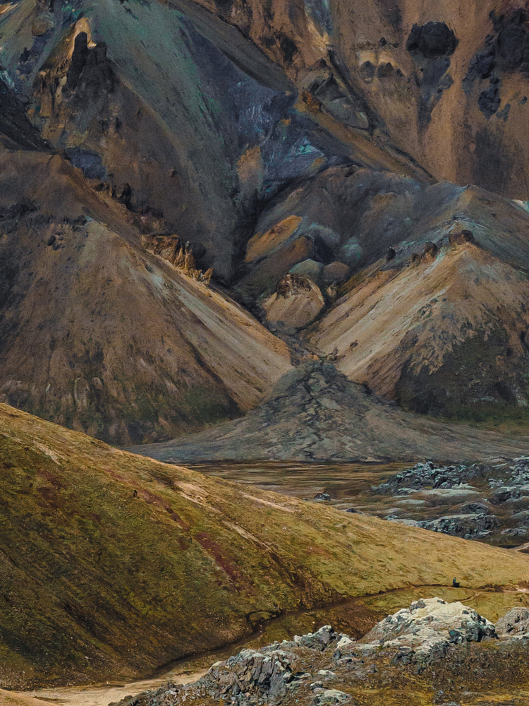 Nature that inspires PRMAL designs