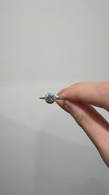 iframe-staff-shot-EG001TC05P_VIDEO