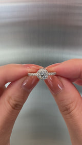 0.32ct Rolla Halo Pave Ring - PRMAL