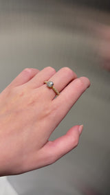 iframe-staff-shot-EG015TR10A_VIDEO