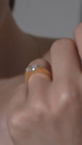 Facet 1ct Oval Ring - PRMAL