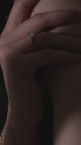 Facet 1ct Oval Ring - PRMAL
