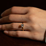 Alta Solitaire Plain Ring - PRMAL