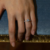 Velle Solitaire Pave Ring - PRMAL