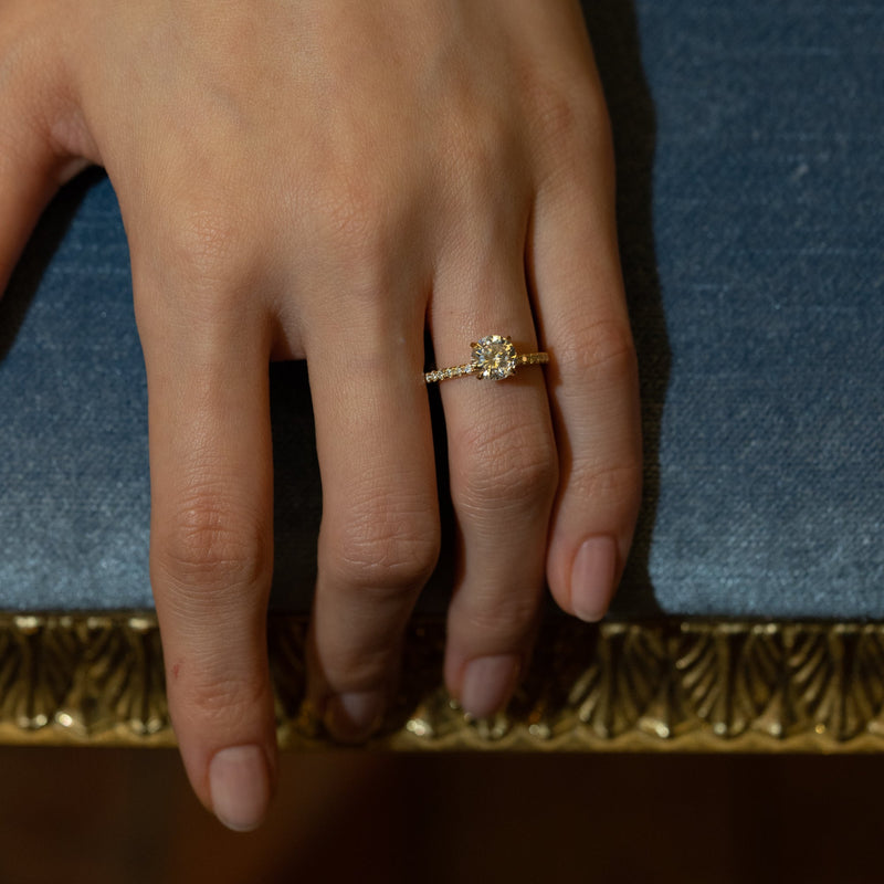 Velle Solitaire Pave Ring - PRMAL