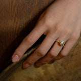 Rolla Halo Pave Ring - PRMAL
