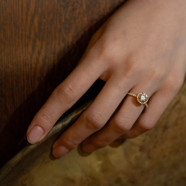 Rolla Halo Pave Ring - PRMAL