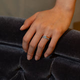 Marin Solitaire Bold Plain Ring - PRMAL