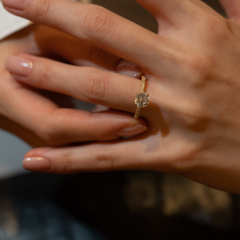 Faro Solitaire Bold Pave Ring - PRMAL