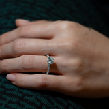 Noia Bezel Bold Pave Ring - PRMAL