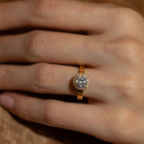 Tira Halo Bold Flat Ring - PRMAL